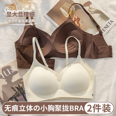 秋季磨毛内衣女小胸无痕聚拢显大调整型防下垂文胸罩女士2025新款
