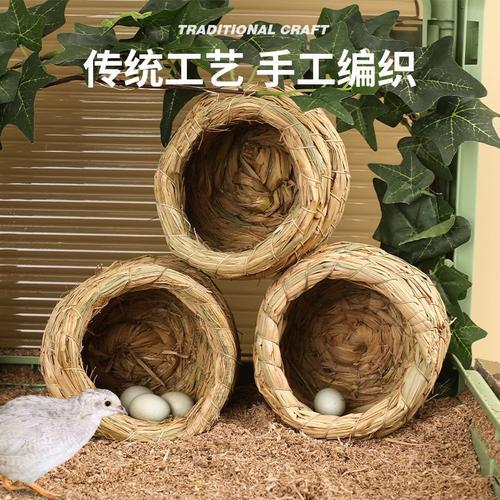 芦丁鸡鹌鹑鹦鹉下蛋孵蛋草编鸟窝