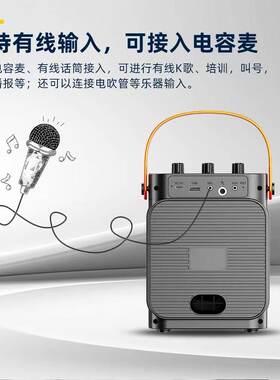 维尔晶T15S蓝牙广场舞音箱重低音