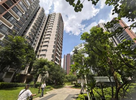 【中惠松湖城】东莞市寮步镇金兴路中惠松湖城二区6号商住楼2单元401房产