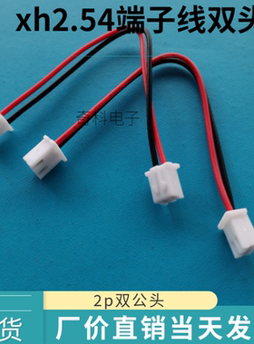 xh2.54双头端子线电子连接线2.54mm间距公对公2p 长10CM 20CM