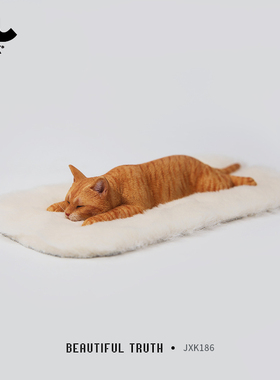 JXK趴睡小猫咪模型可爱小摆件