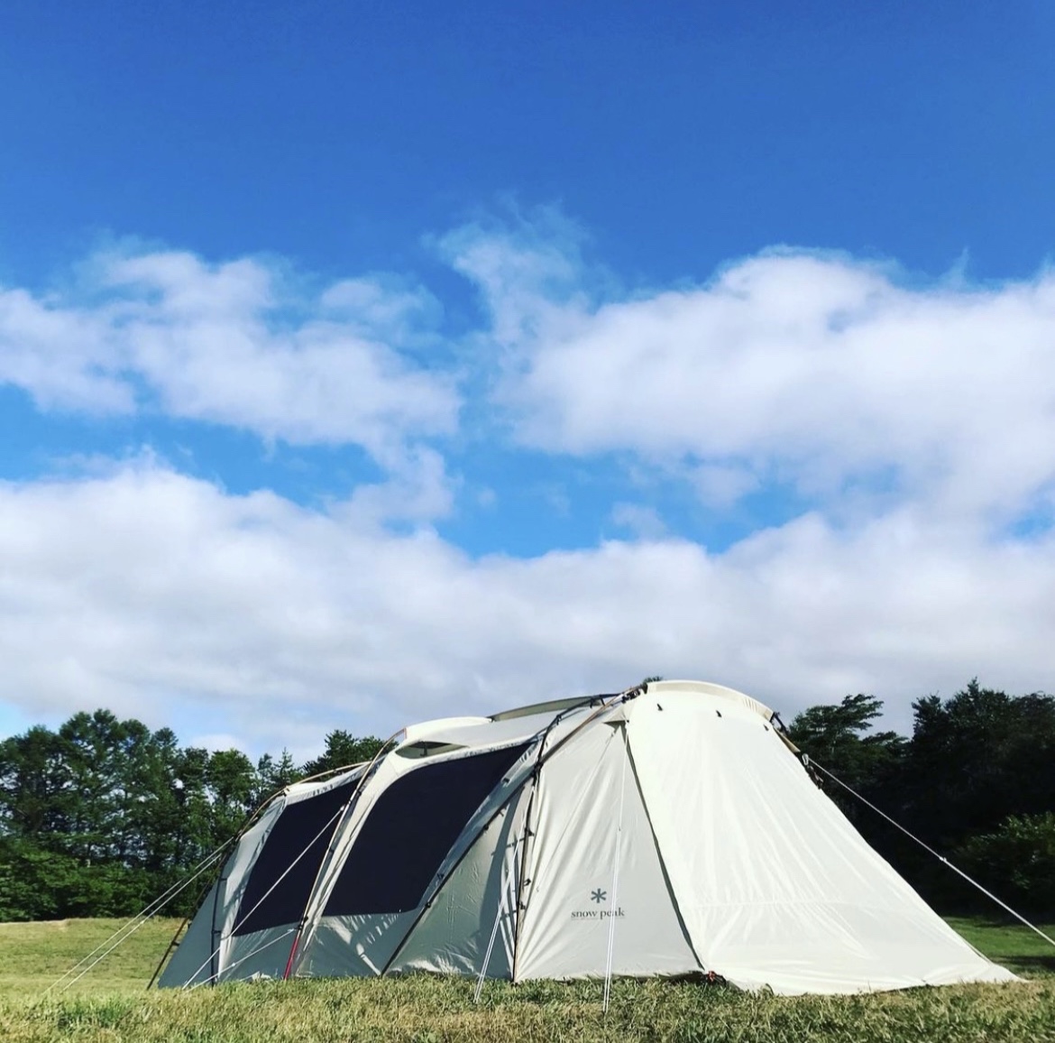 帐篷杆帐杆SnowPeak限定