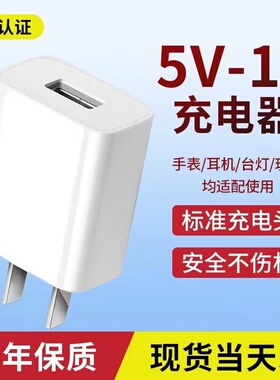 5V1A慢充1000mA充电器蓝牙耳机手表音响随身wifi智能门锁辣妹电子雾化小功率电子充电头