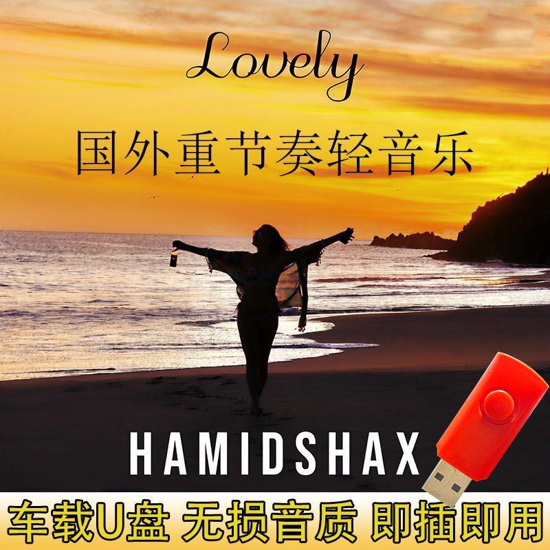 Hamidshax国外重节奏轻音乐流行无损高音质MP3合集车载音乐U盘