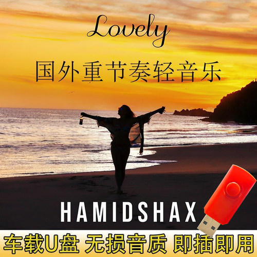 Hamidshax国外重节奏轻音乐流行无损高音质MP3合集车载音乐U盘