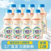 新日期益生菌风味饮料乳酸菌饮品整箱340ml 12瓶早餐饮料批发