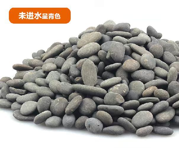 頭鐵膽砂鰲蝦黑工砂砂石水族底鐵膽沙凈水魚缸水族5斤