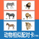 动物相似配对卡实物泛化训练卡片自闭症儿童语言发育迟缓教材教具