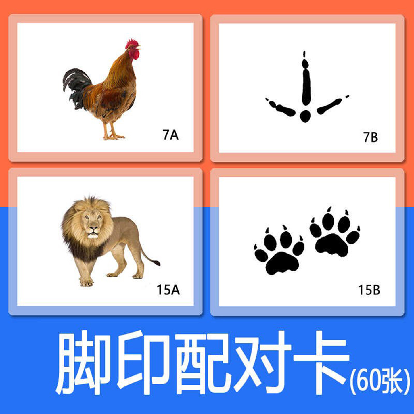 幼儿3-6岁宝宝观察训练小动物的脚印配对卡启蒙益智教具防水塑封