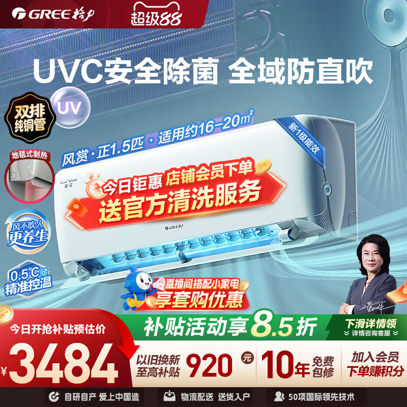 双排铜管除菌健康空调挂机图片