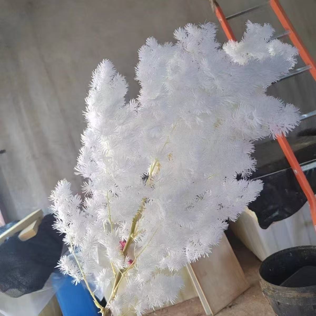 白色永生花蓬莱松羽毛不掉针批发