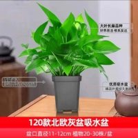 120 север -европейские серые горшки, горшок из одного бассейна