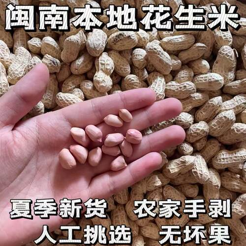 农家手剥新鲜花生米闽南花生新货农家自晒生花生不带壳精选大颗粒