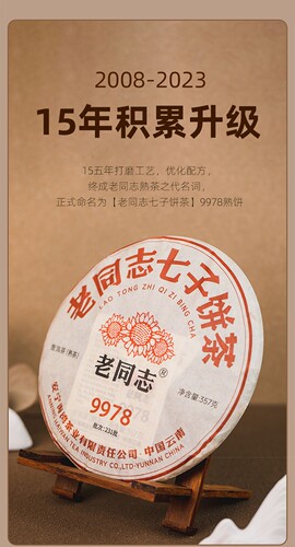 2023老同志9978普洱茶熟茶老同志
