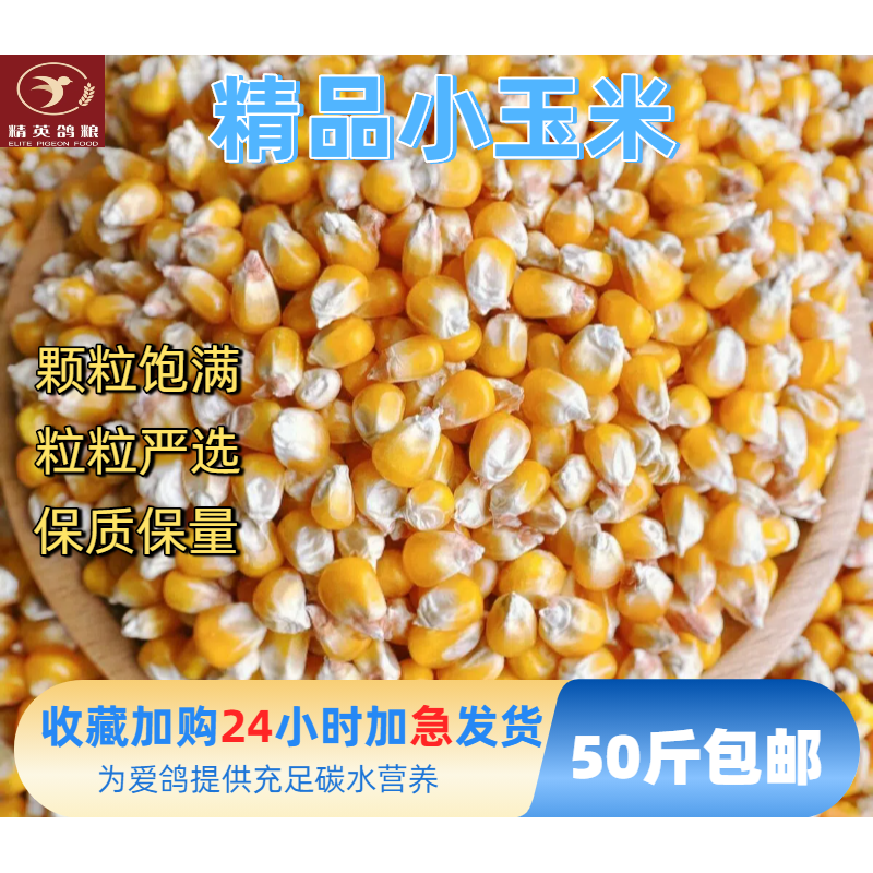 2025年新玉米粒精选小中颗粒鸽粮喂鸽子酿酒专用50斤包邮
