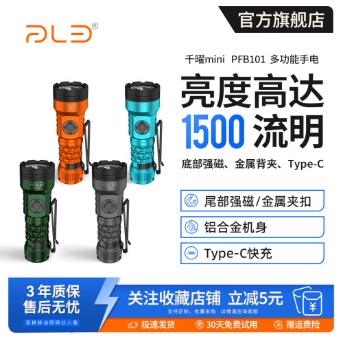 派力德小型便携强光手电筒