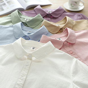 修身 高品精梳棉纯棉衬衫 韩版 春秋新款 显瘦百搭打底上衣白衬 女长袖