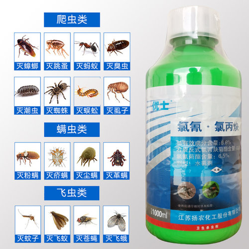 灭蚊药大面积室外蟑螂杀虫剂
