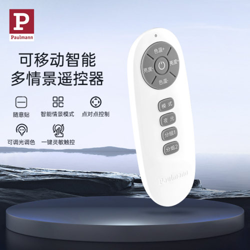 德国柏曼原装灯具遥控器