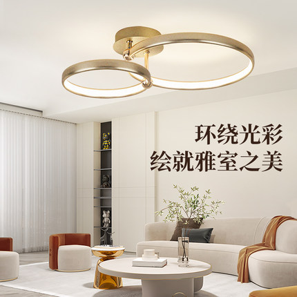 德国柏曼轻奢客厅灯吸顶灯创意圆环2025年新款现代简约卧室主灯具