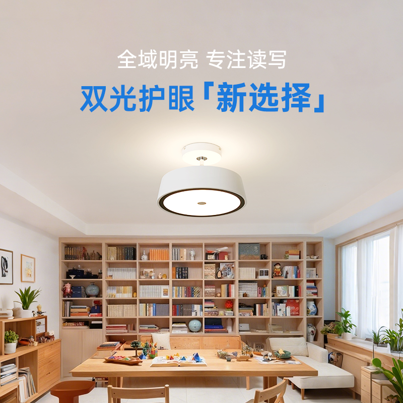 德国柏曼漫反射书房护眼吸顶灯