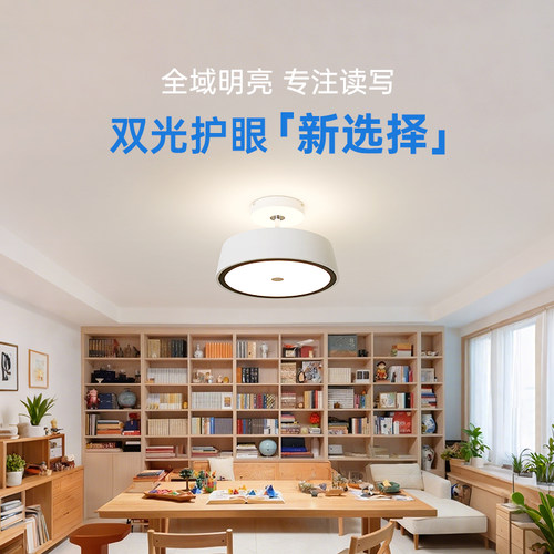 德国柏曼漫反射书房护眼吸顶灯