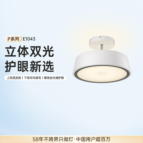 德国柏曼漫反射书房护眼吸顶灯
