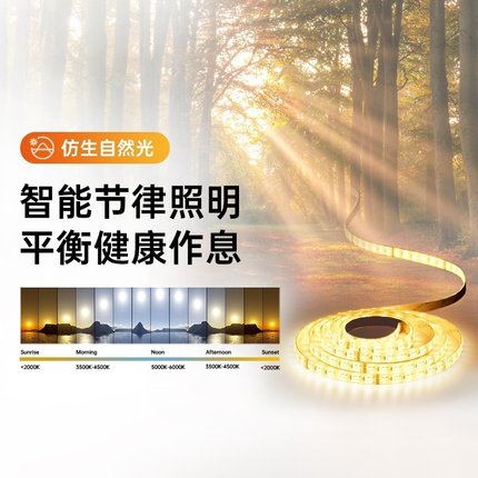 德国柏曼全光谱护眼led灯带智能调光调色灯条客厅吊顶氛围灯具