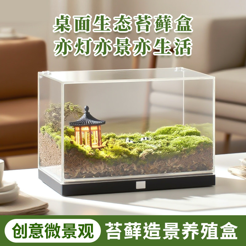 【小红书同款】微景观绿植生态箱
