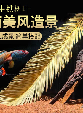 天然铁树叶沉叶鱼缸造景南美缸原生缸装饰树叶网红沉叶黄色树叶
