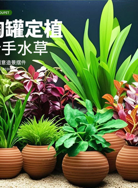 鱼缸水草造景摆件增氧阴性绿菊蜈蚣草净水定植陶罐水草火山石套餐