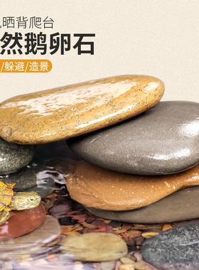 乌龟晒台天然原生鱼缸彩石造景鹅卵石乌龟缸扁平晒背爬台石头躲避