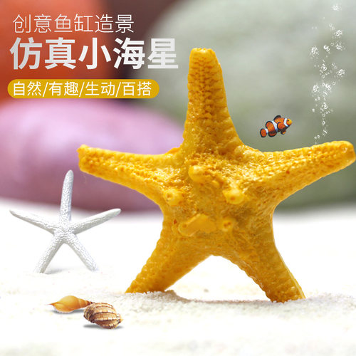 仿真海星鱼缸造景海螺