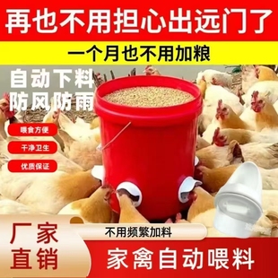 加厚鸡鸭新款家禽自动喂食喂鸡料器全自动鸡鸭鹅自动喂食器神器