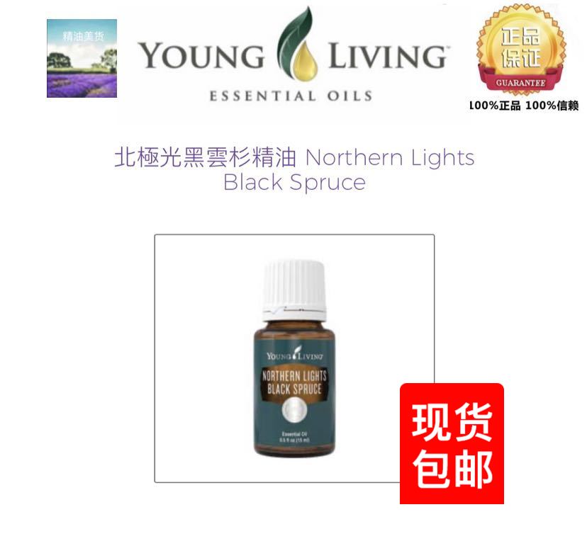 Youngliving Northern Lights Black Spruce北极光黑云杉精油