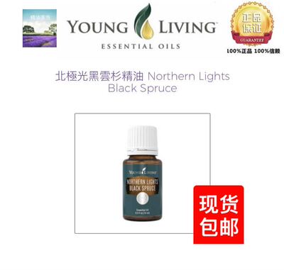 Youngliving Northern Lights Black Spruce北极光黑云杉精油