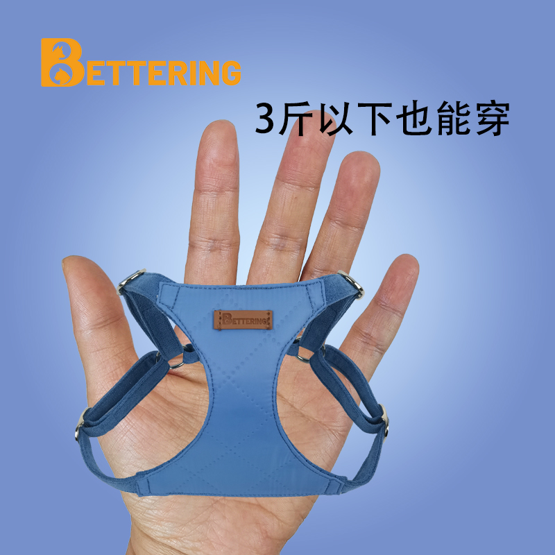 小型犬泰迪比熊牵引绳