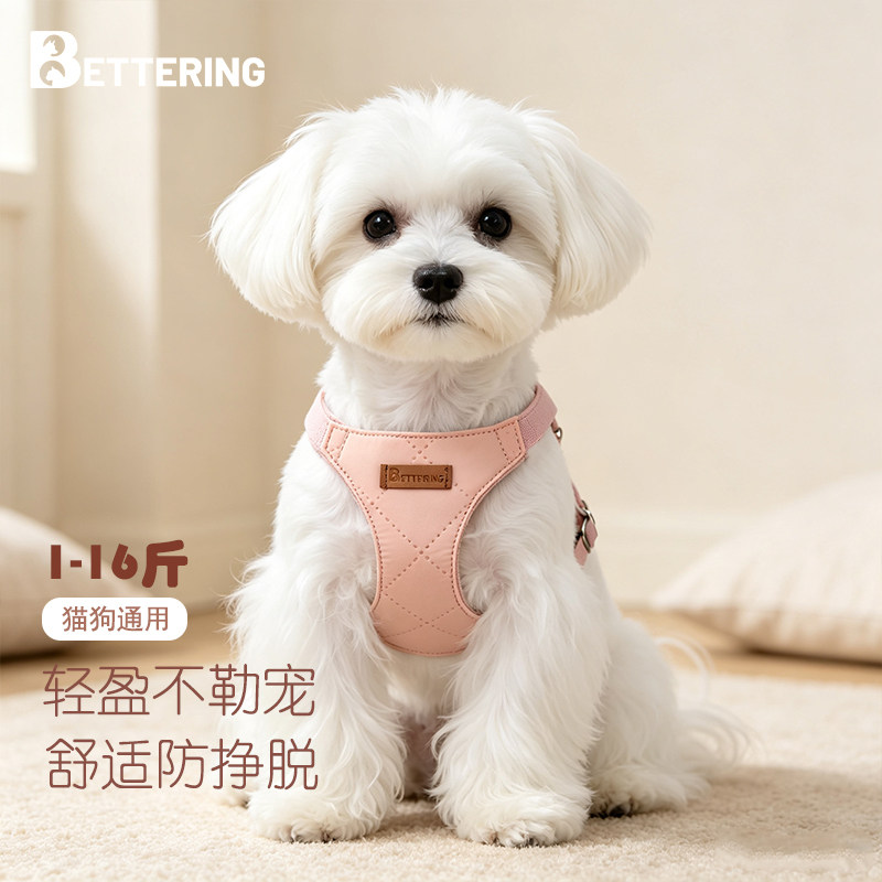 小型犬泰迪比熊牵引绳