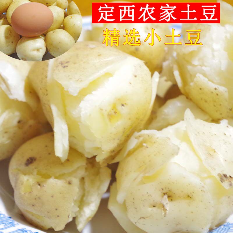 定西马铃薯粉面土豆定西新大坪