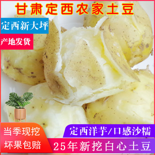 新鲜25年甘肃定西土豆沙面粉糯新大坪洋芋农家自种马铃薯白心粉糯