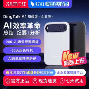【企业版】钉钉A1 DingTalk AI智能录音笔 会议纪要 AI分析总结实时转写翻译