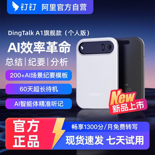 阿里 钉钉 DingTalk A1 智能录音笔会议纪要AI分析总结转写翻译卡