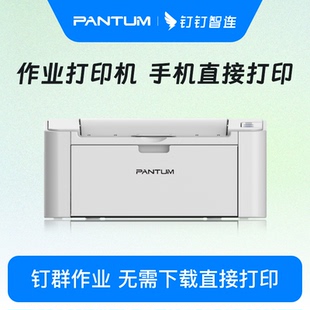 奔图P2518NW激光无线wifi手机远程打印机办公室商务a4免装 钉钉作业打印机 驱动家用作业打印机错题打印机