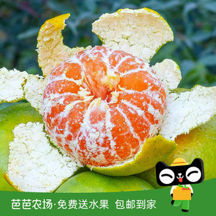 【芭芭农场兑换品】宜昌蜜桔5斤