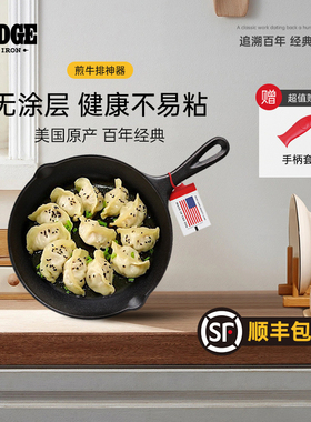 Lodge洛极 美国进口无涂层铸铁小煎锅23cm 煎炒焗烤全能 L6SK3