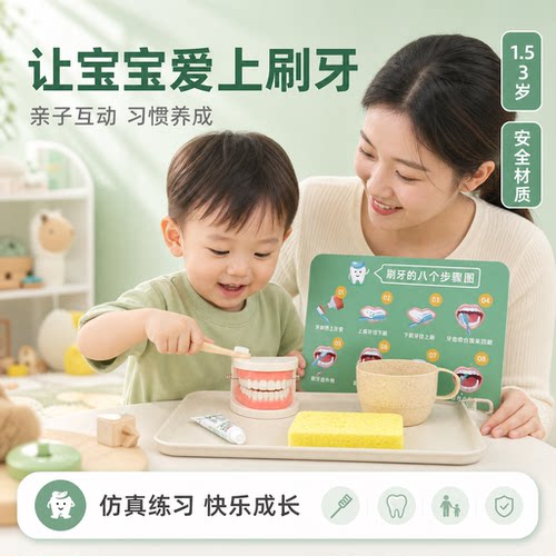牙齿模型刷牙练习蒙氏教具