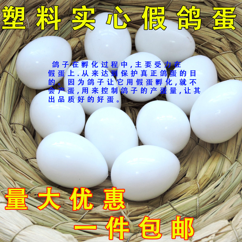 优质假鸽子蛋非注水实心鸽子假蛋鸽子用品孵卵用品肉鸽信鸽鸽具