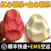 包邮 广西软心番石榴白心芭乐5斤当季 新鲜水果软糯香甜奶油芭乐果