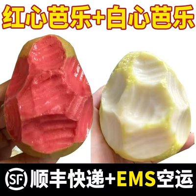 软心番石榴软糯香甜奶油芭乐果